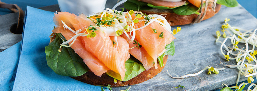 Panino per la colazione