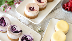 Assortimento di mini Cheesecake, 3 varietà