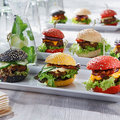 Party Burger già pronti e pretagliati, 4 varietà - 3