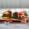 Party Burger già pronti e pretagliati, 4 varietà - 4