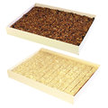 Micro Brownie- e Blondie-Box - 3