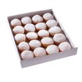 SG-Mini krapfen ai lamponi e ribes - 5