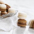 Assortimento "Premium-Macarons N°2", ripieni - 1