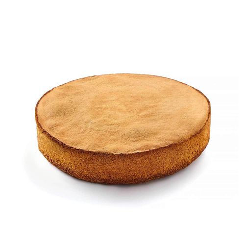 Base pan di Spagna Pidy tonda, neutra, 22 cm